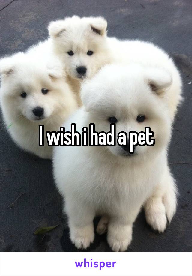 I wish i had a pet