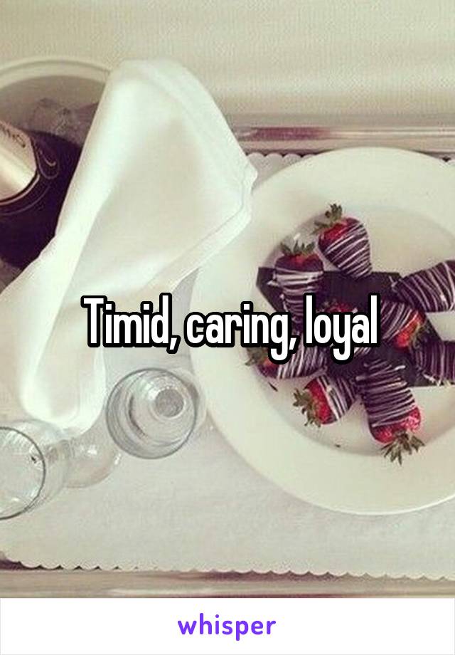 Timid, caring, loyal