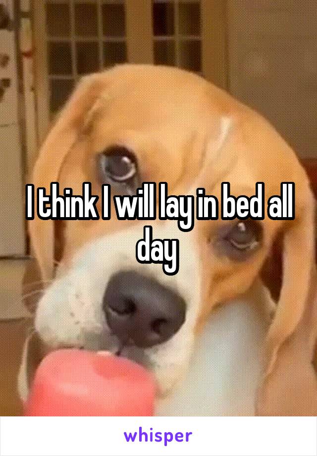 I think I will lay in bed all day 