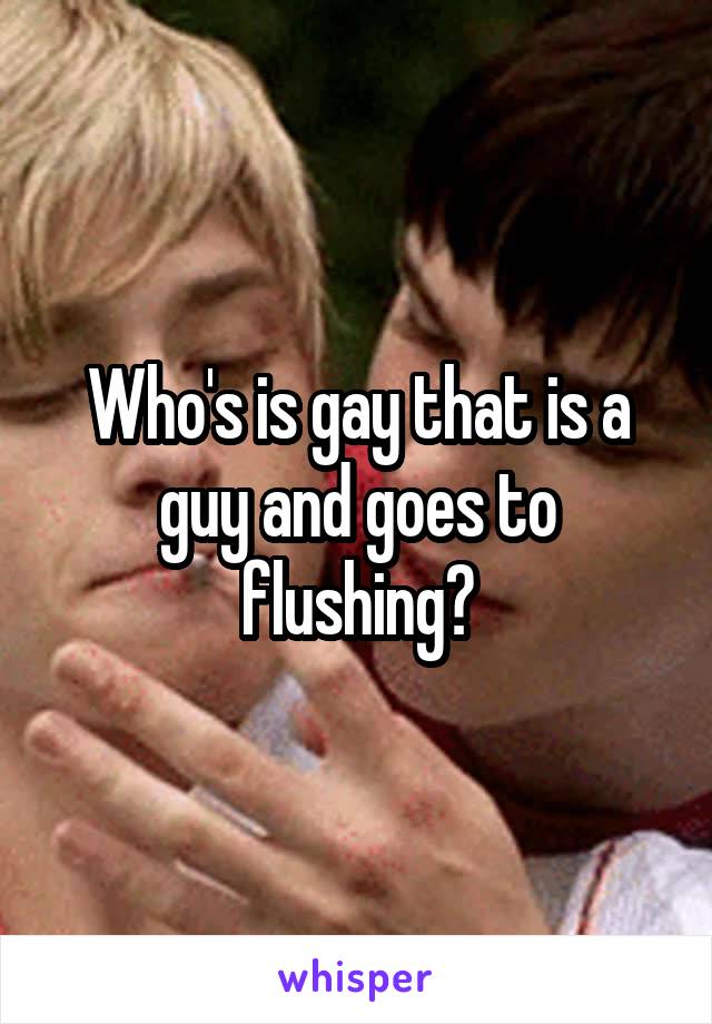 Who's is gay that is a guy and goes to flushing?