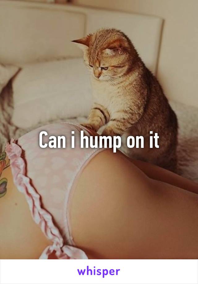 Can i hump on it