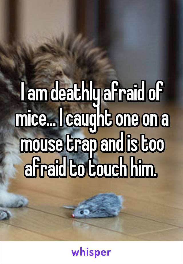 I am deathly afraid of mice... I caught one on a mouse trap and is too afraid to touch him. 