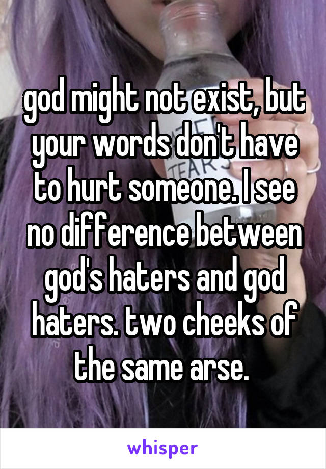 god might not exist, but your words don't have to hurt someone. I see no difference between god's haters and god haters. two cheeks of the same arse. 