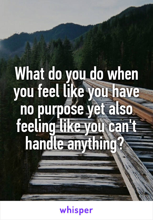 What do you do when you feel like you have no purpose yet also feeling like you can't handle anything? 