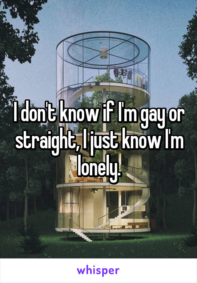 I don't know if I'm gay or straight, I just know I'm lonely.