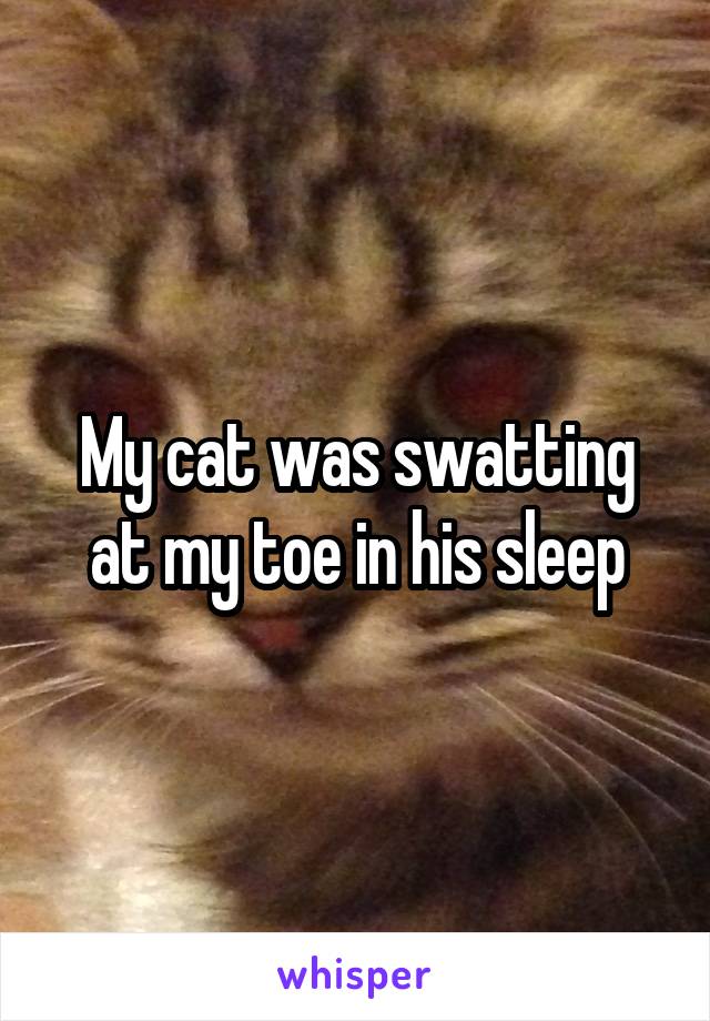 My cat was swatting at my toe in his sleep