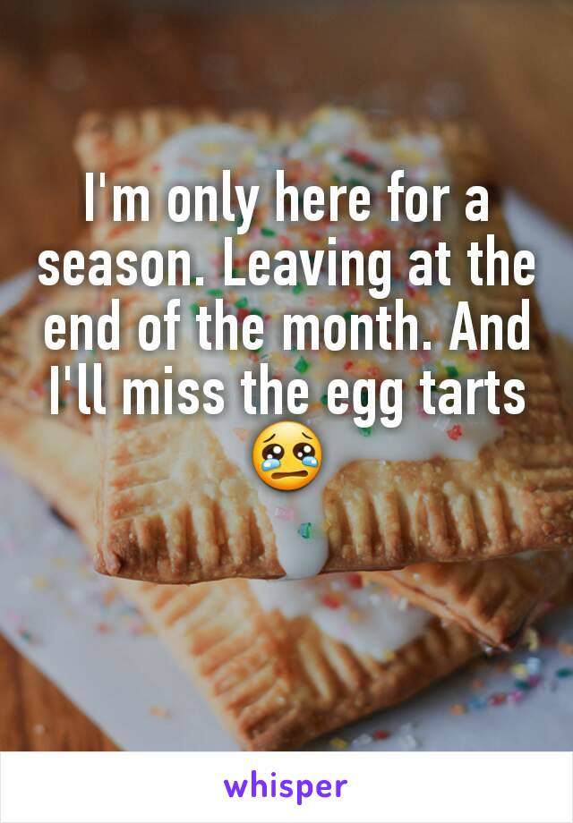 I'm only here for a season. Leaving at the end of the month. And I'll miss the egg tarts 😢