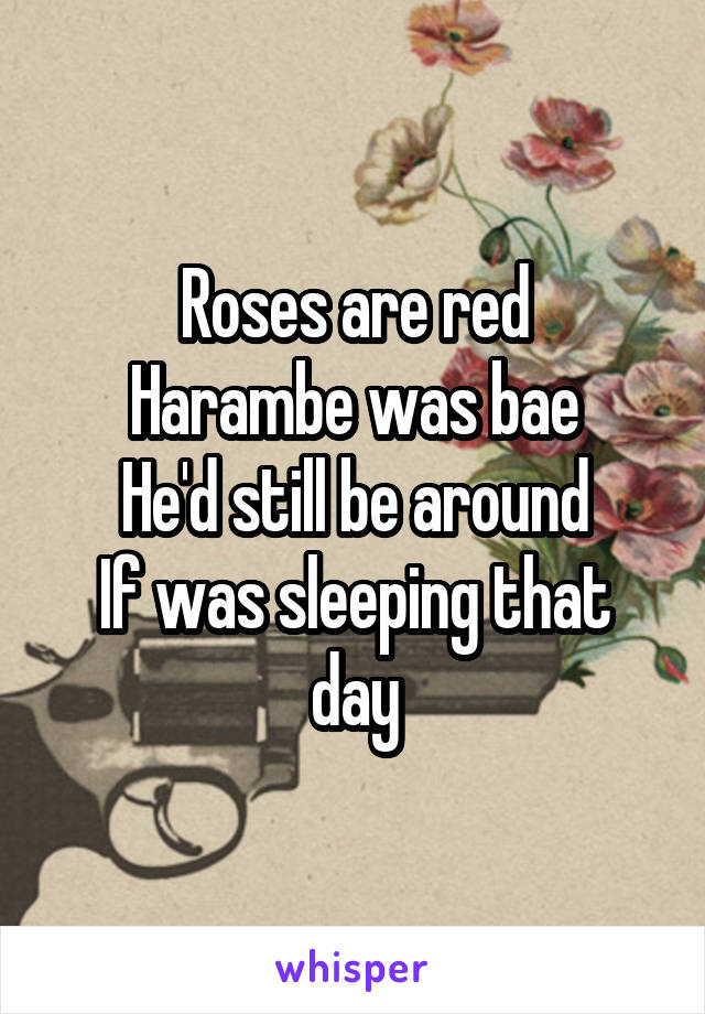 Roses are red
Harambe was bae
He'd still be around
If was sleeping that day