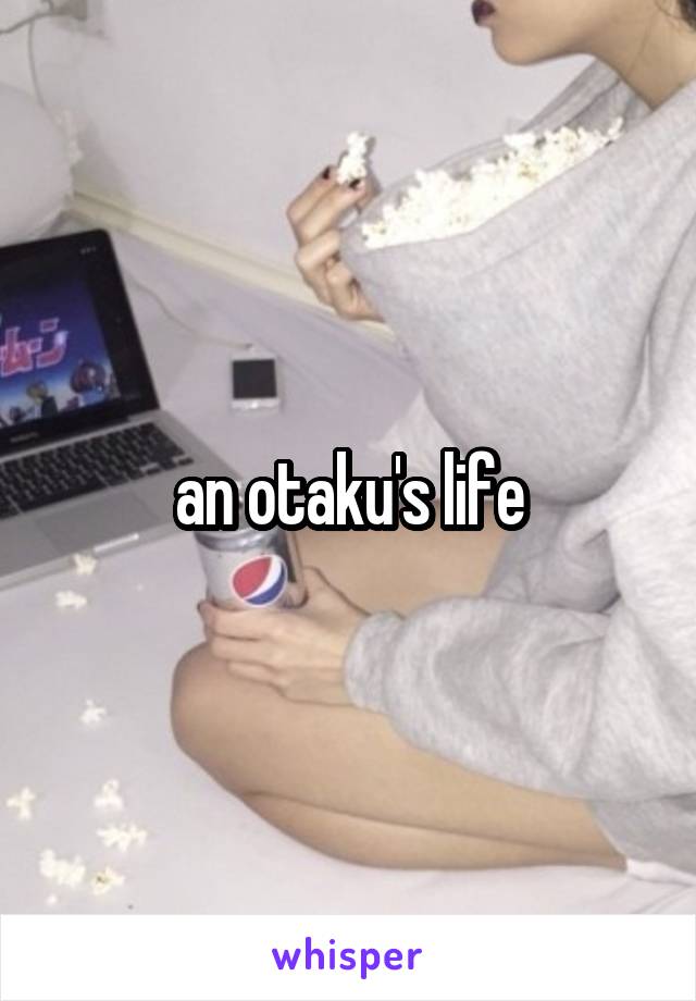 an otaku's life