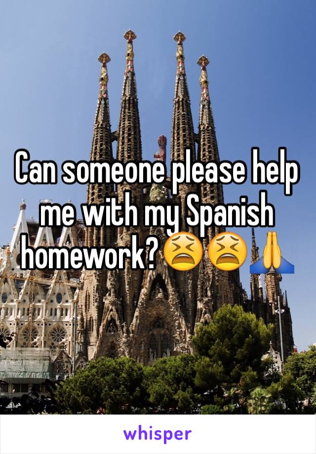 Can someone please help me with my Spanish homework?😫😫🙏