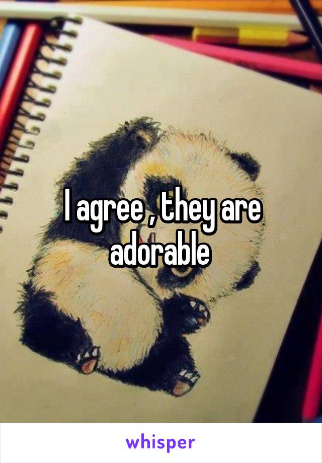 I agree , they are adorable 