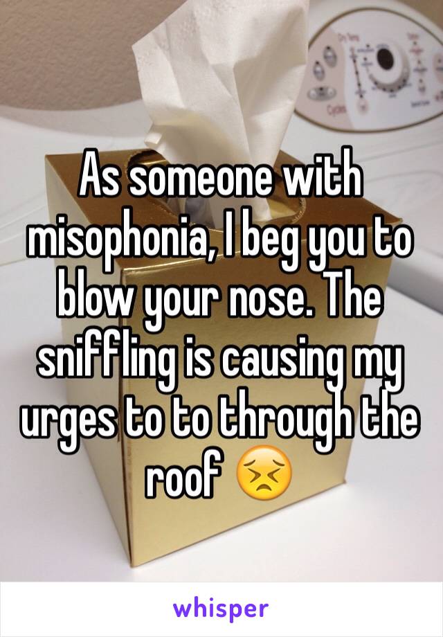 As someone with misophonia, I beg you to blow your nose. The sniffling is causing my urges to to through the roof 😣 