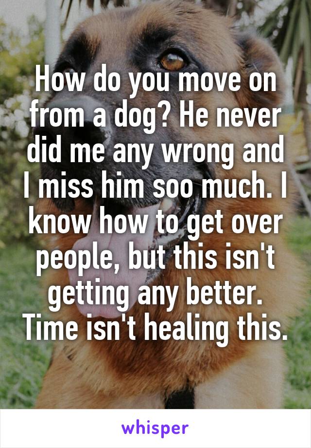 How do you move on from a dog? He never did me any wrong and I miss him soo much. I know how to get over people, but this isn't getting any better. Time isn't healing this. 