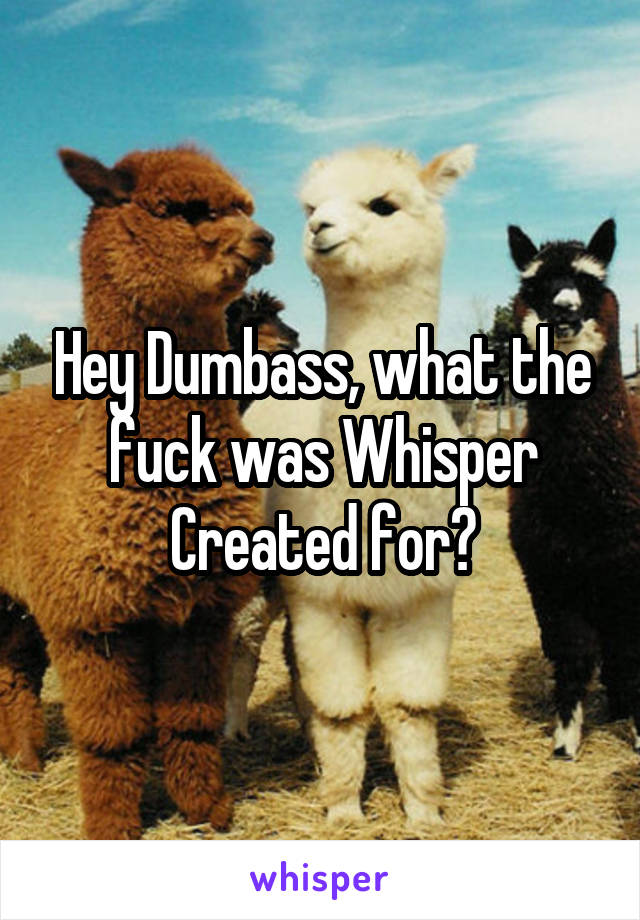 Hey Dumbass, what the fuck was Whisper Created for?