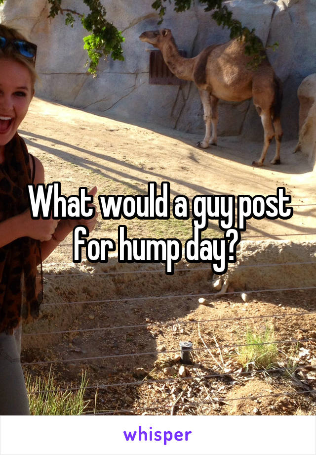 What would a guy post for hump day? 