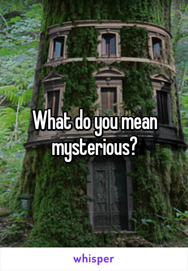 What do you mean mysterious?