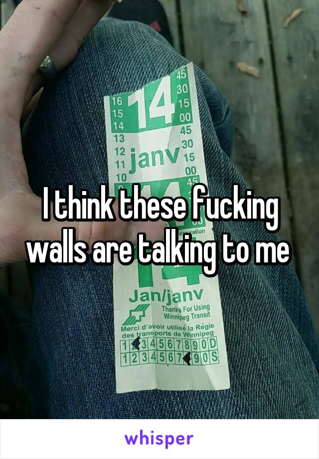 I think these fucking walls are talking to me 