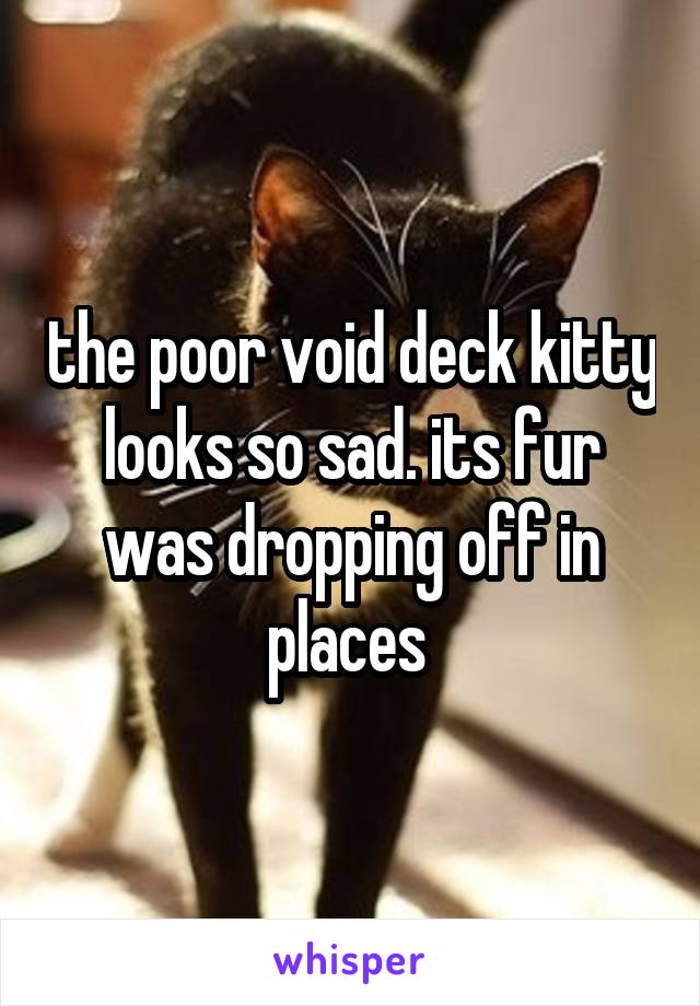 the poor void deck kitty looks so sad. its fur was dropping off in places 