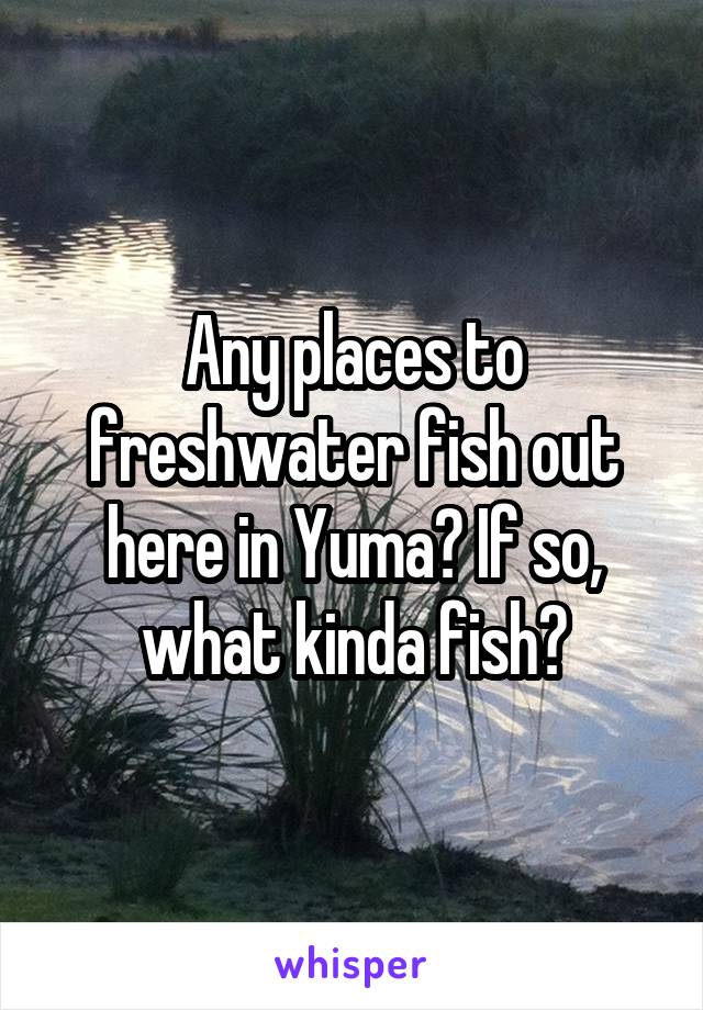 Any places to freshwater fish out here in Yuma? If so, what kinda fish?