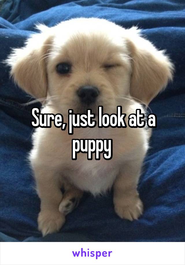 Sure, just look at a puppy 