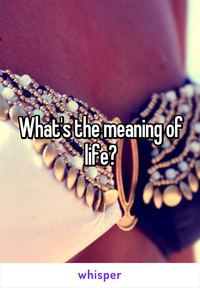 What's the meaning of life?