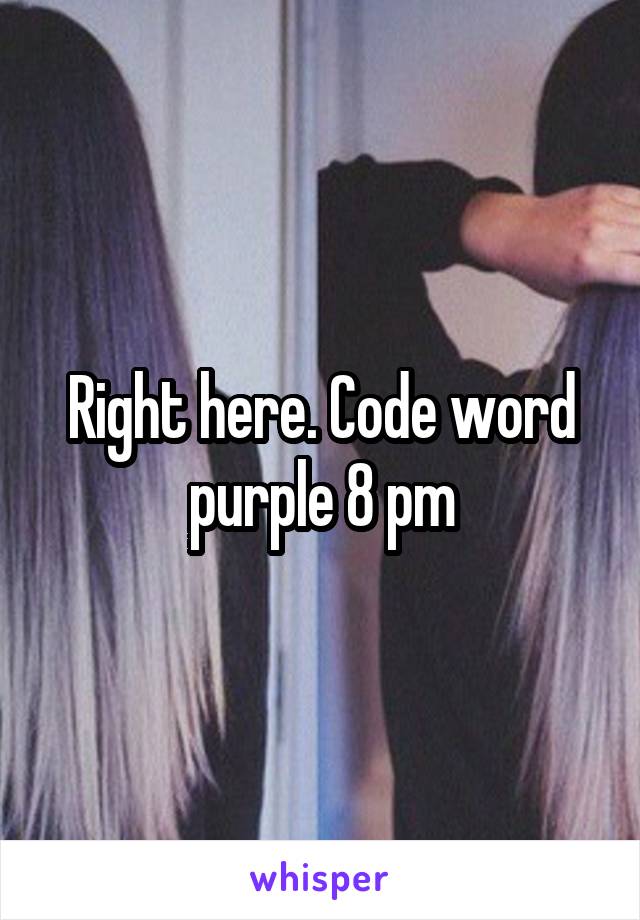 Right here. Code word purple 8 pm