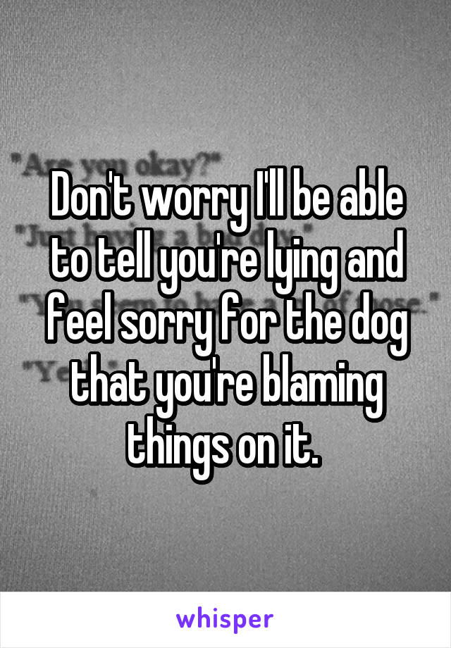 Don't worry I'll be able to tell you're lying and feel sorry for the dog that you're blaming things on it. 