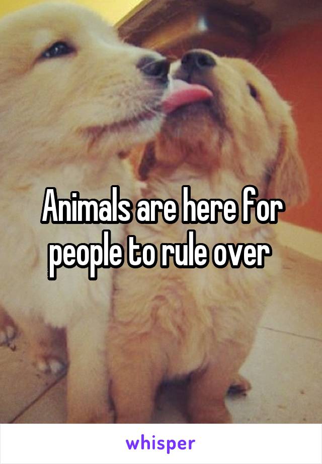 Animals are here for people to rule over 