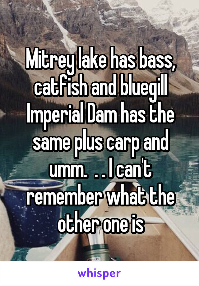 Mitrey lake has bass, catfish and bluegill Imperial Dam has the same plus carp and umm.  . . I can't remember what the other one is