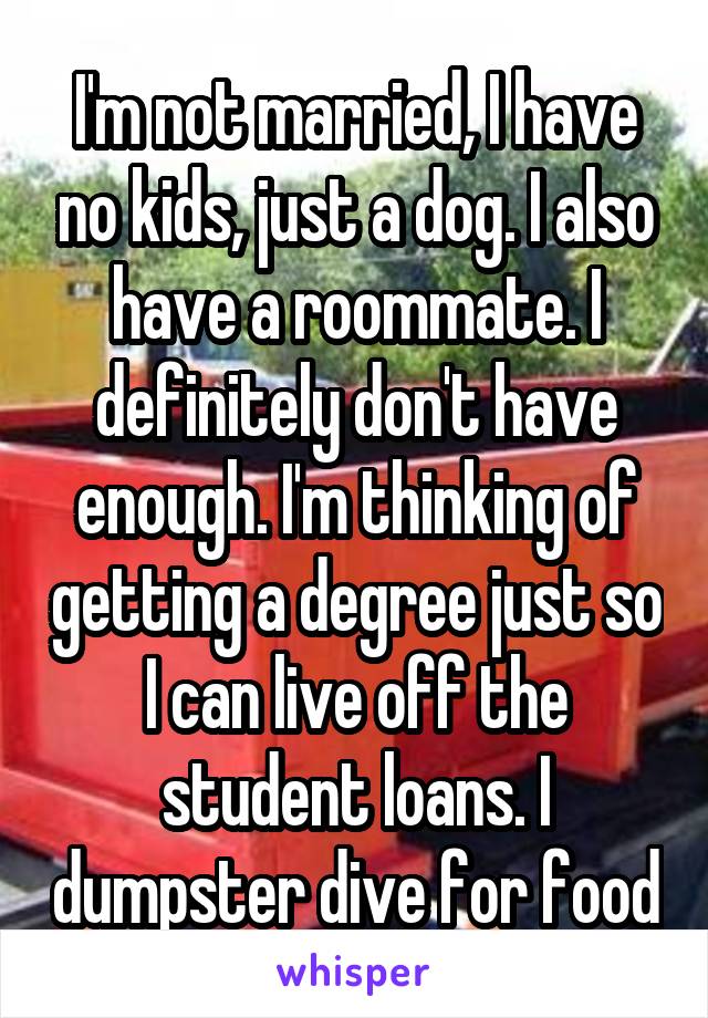 I'm not married, I have no kids, just a dog. I also have a roommate. I definitely don't have enough. I'm thinking of getting a degree just so I can live off the student loans. I dumpster dive for food