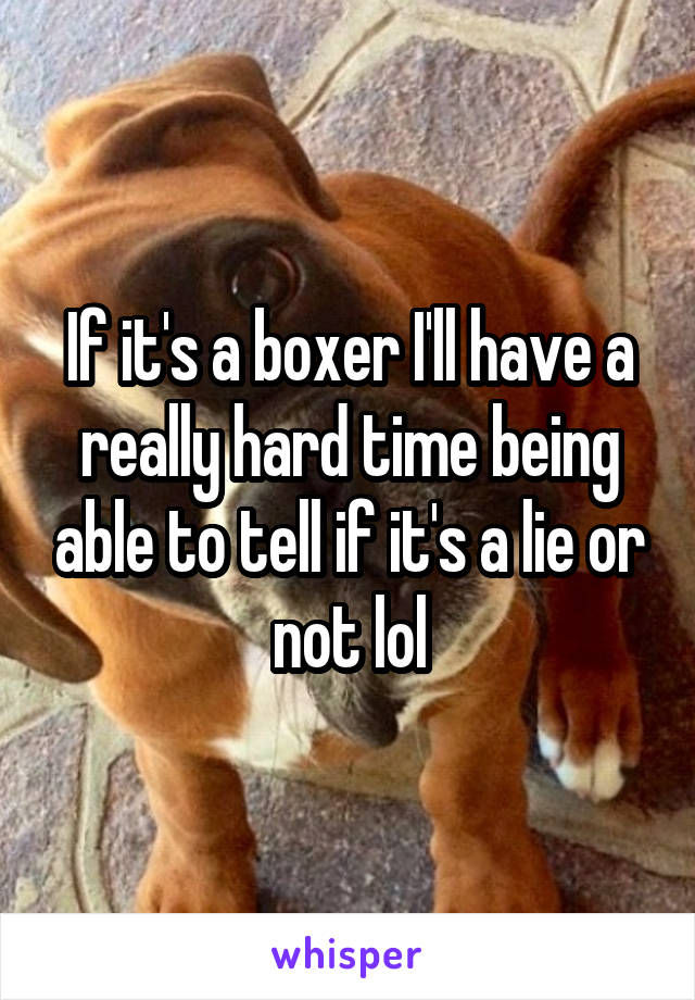 If it's a boxer I'll have a really hard time being able to tell if it's a lie or not lol