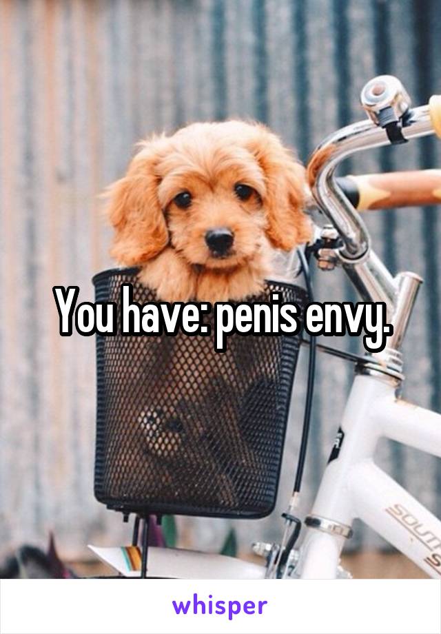 You have: penis envy.