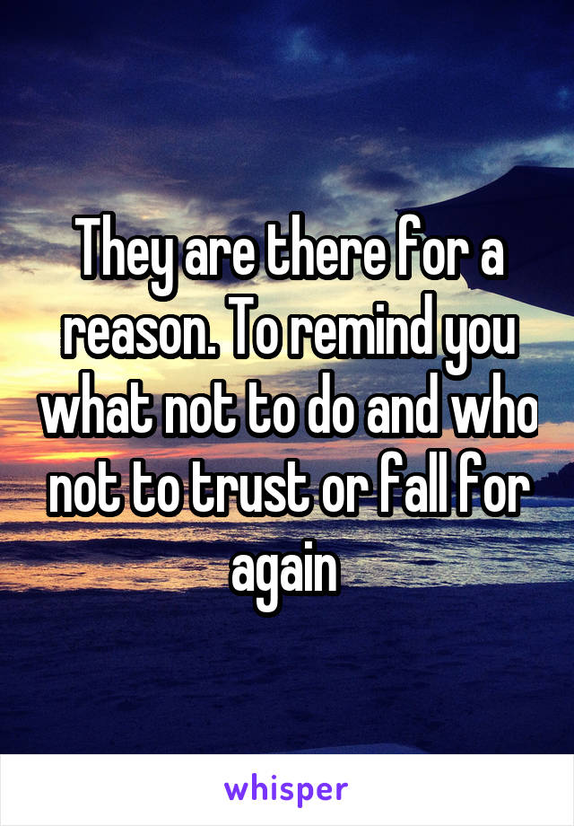 They are there for a reason. To remind you what not to do and who not to trust or fall for again 