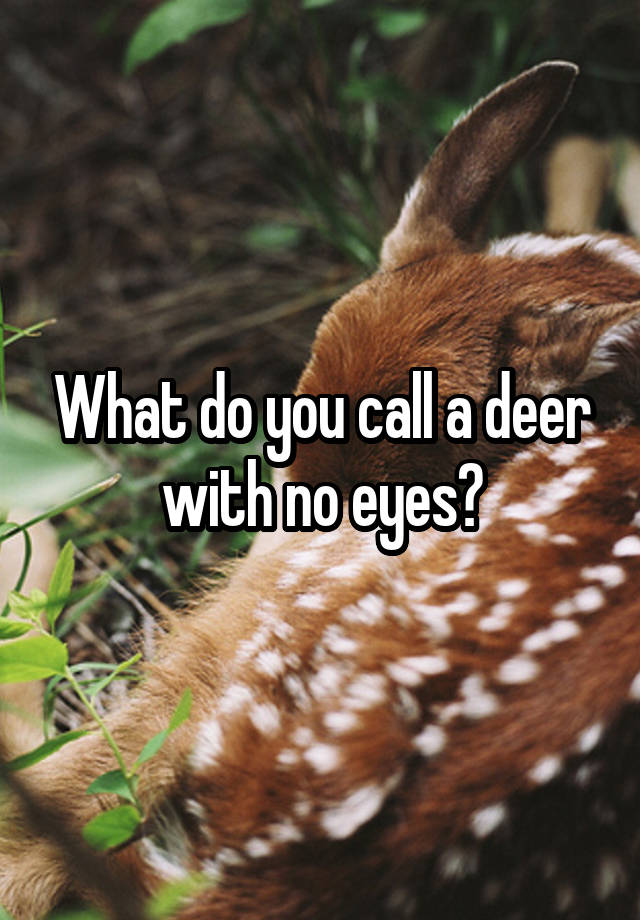 what-do-you-call-a-deer-with-no-eyes