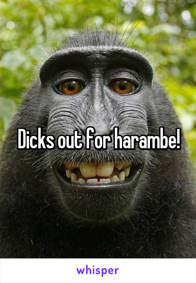 Dicks out for harambe!