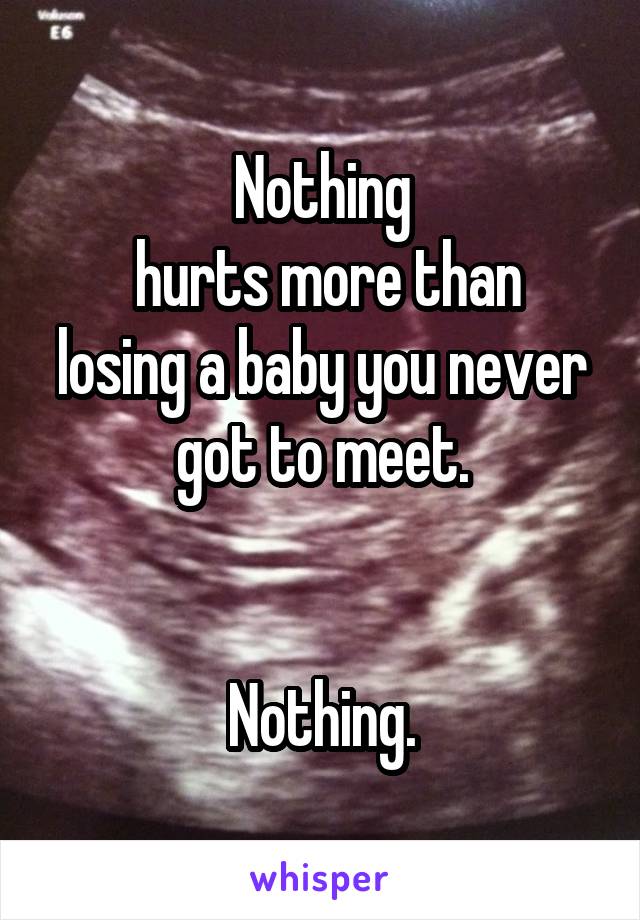 Nothing
 hurts more than losing a baby you never got to meet.


Nothing.