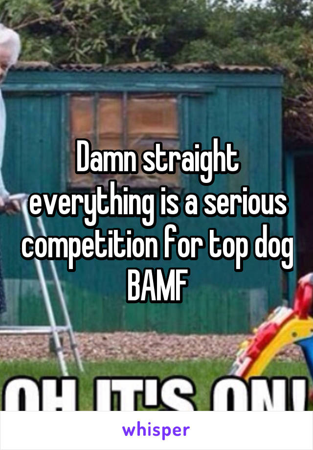 Damn straight everything is a serious competition for top dog BAMF