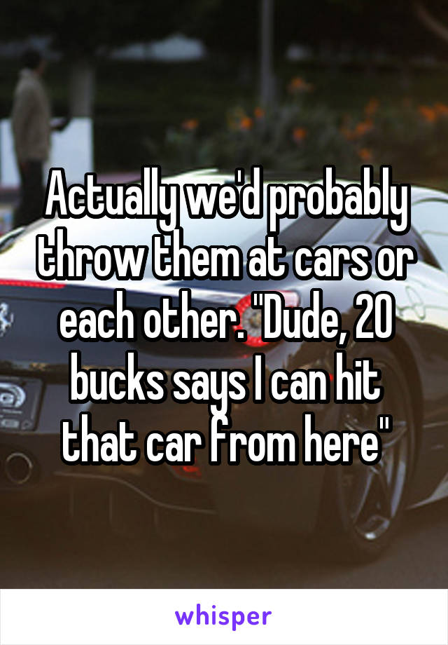 Actually we'd probably throw them at cars or each other. "Dude, 20 bucks says I can hit that car from here"