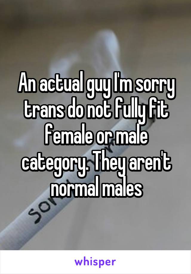 An actual guy I'm sorry trans do not fully fit female or male category. They aren't normal males