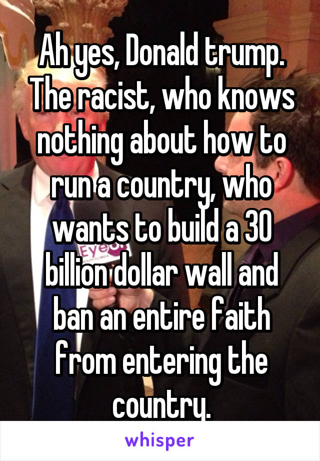 Ah yes, Donald trump. The racist, who knows nothing about how to run a country, who wants to build a 30 billion dollar wall and ban an entire faith from entering the country.