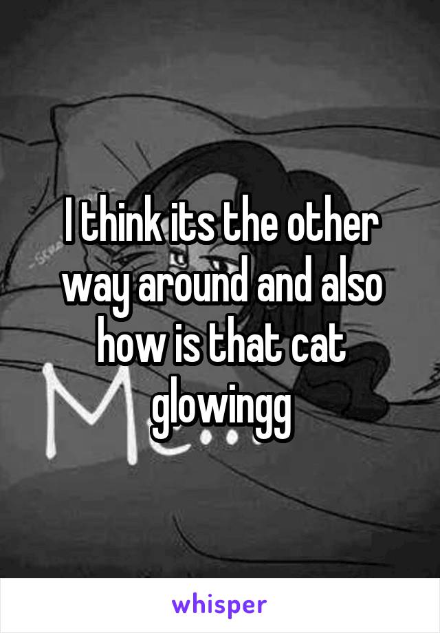 I think its the other way around and also how is that cat glowingg