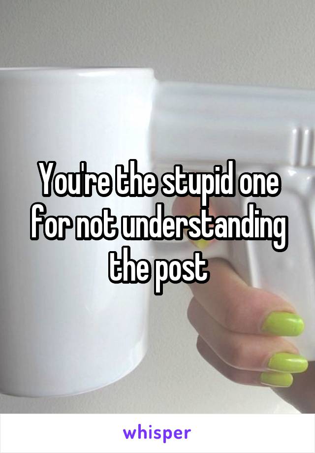 You're the stupid one for not understanding the post