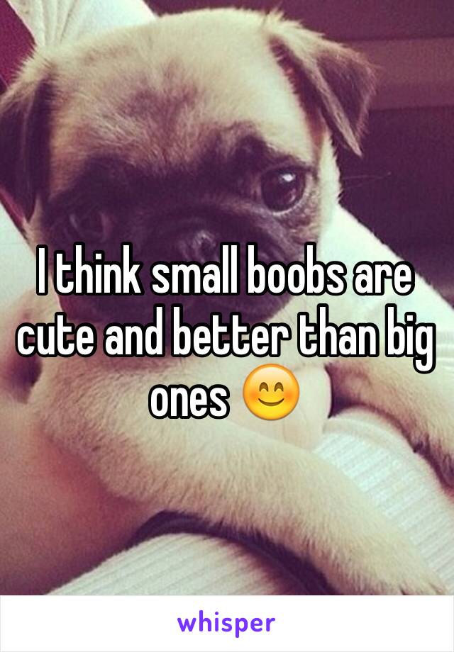 I think small boobs are cute and better than big ones 😊