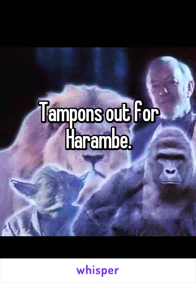 Tampons out for Harambe.

