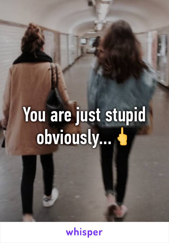 You are just stupid obviously...🖕