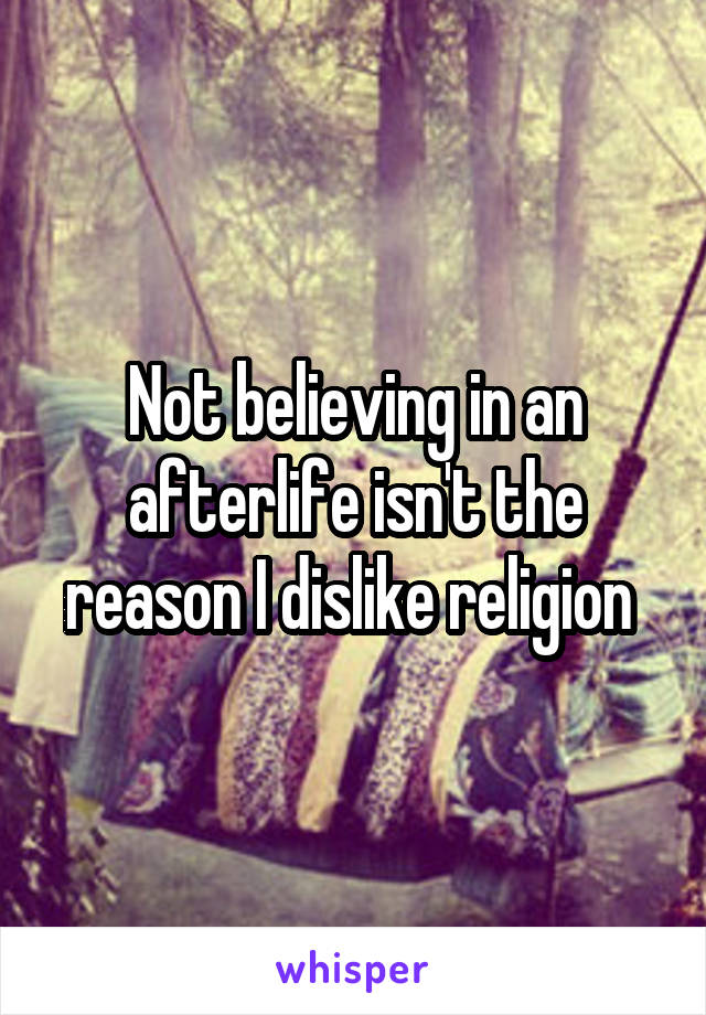 Not believing in an afterlife isn't the reason I dislike religion 