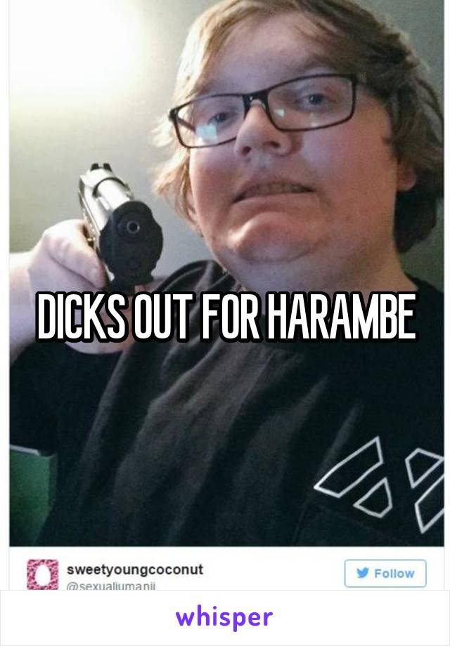 DICKS OUT FOR HARAMBE