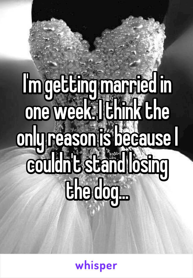 I'm getting married in one week. I think the only reason is because I couldn't stand losing the dog...