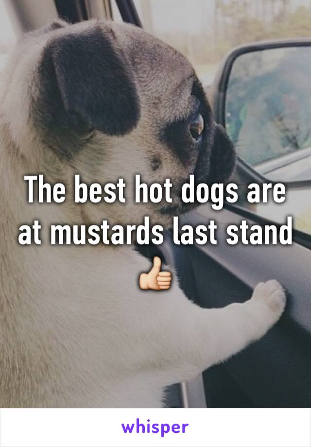 The best hot dogs are at mustards last stand
👍