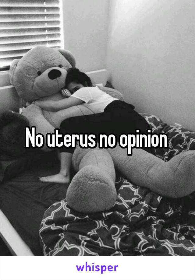 No uterus no opinion 